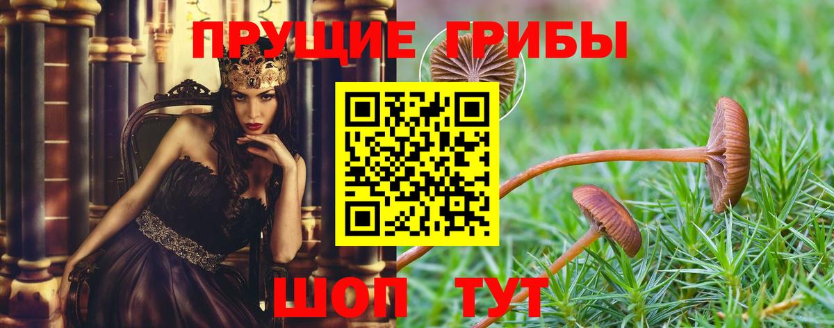 Псилоцибиновые грибы прущие грибы Барабинск